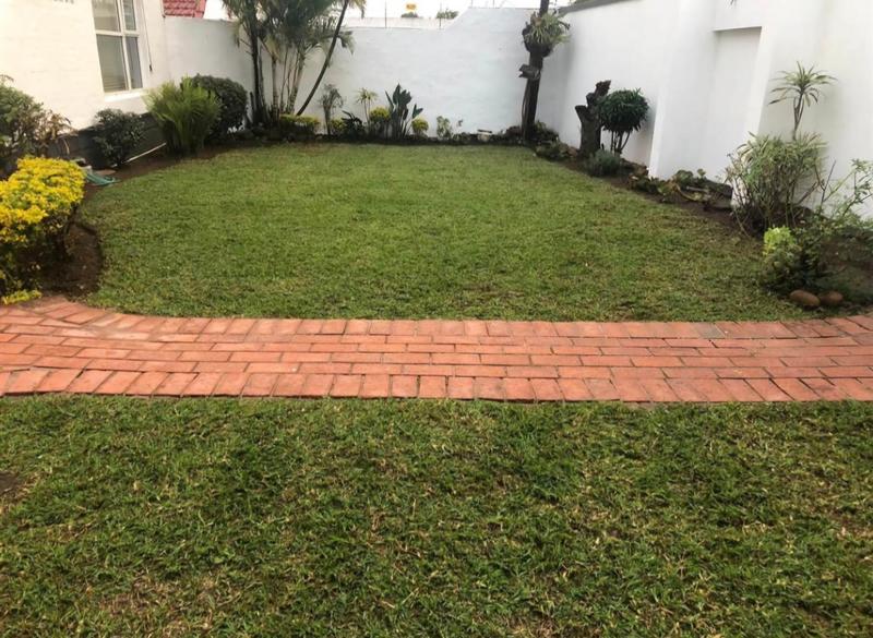 To Let 3 Bedroom Property for Rent in Essenwood KwaZulu-Natal