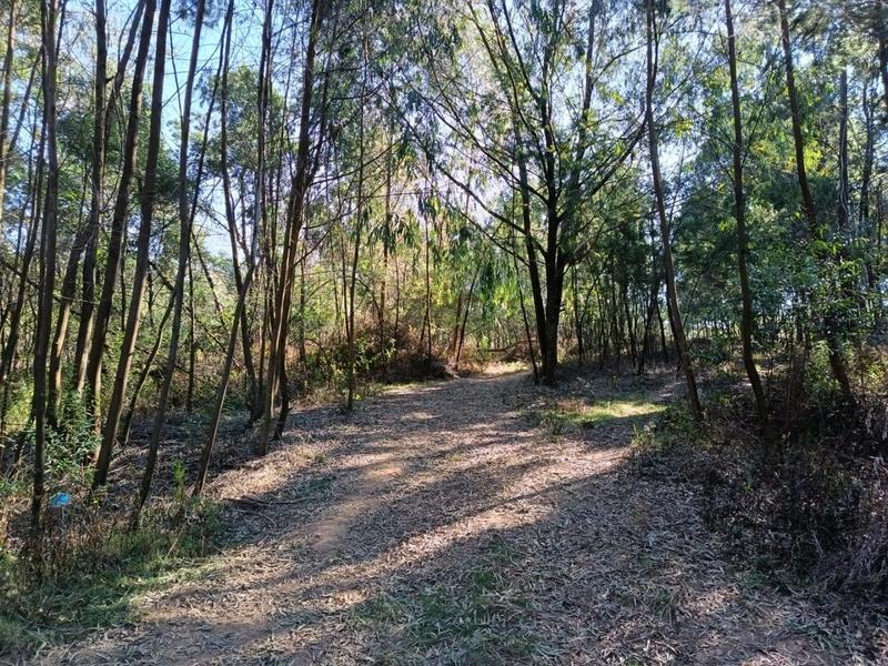 0 Bedroom Property for Sale in New Hanover Rural KwaZulu-Natal