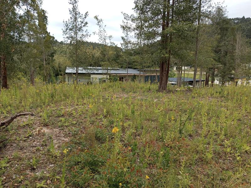0 Bedroom Property for Sale in Margate KwaZulu-Natal