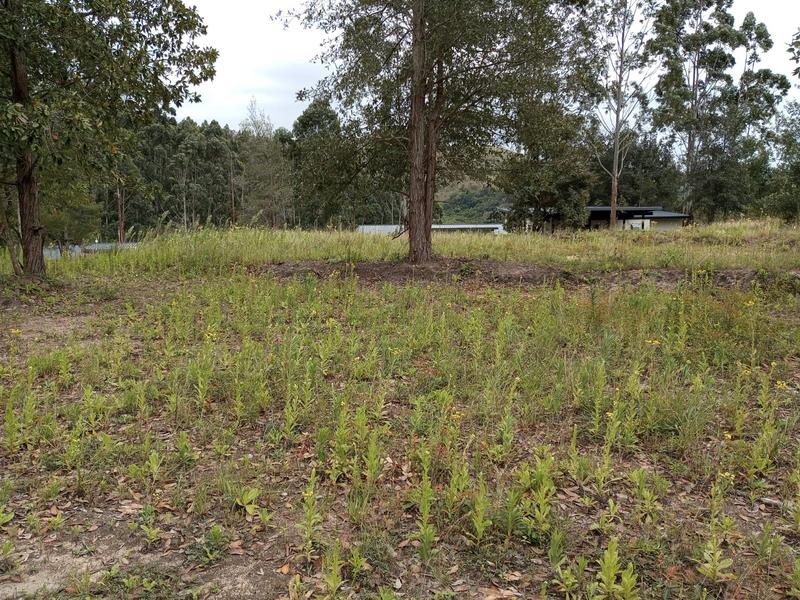0 Bedroom Property for Sale in Margate KwaZulu-Natal