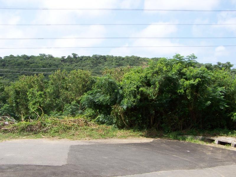 0 Bedroom Property for Sale in Malvern KwaZulu-Natal