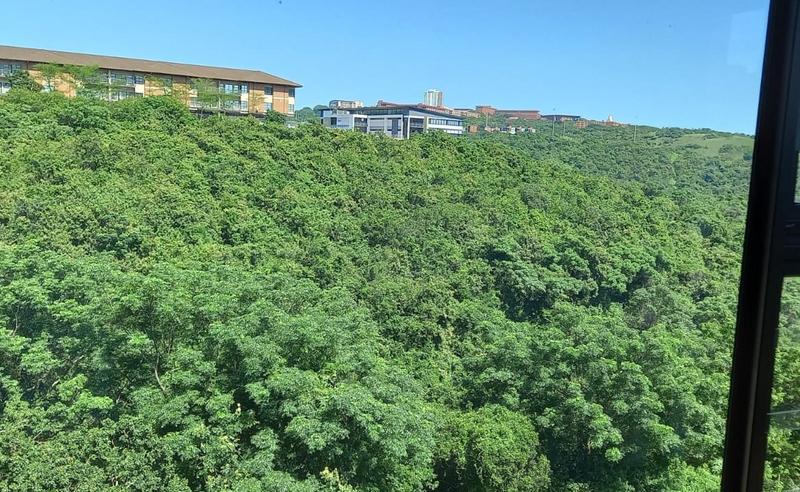 To Let 3 Bedroom Property for Rent in Westville KwaZulu-Natal