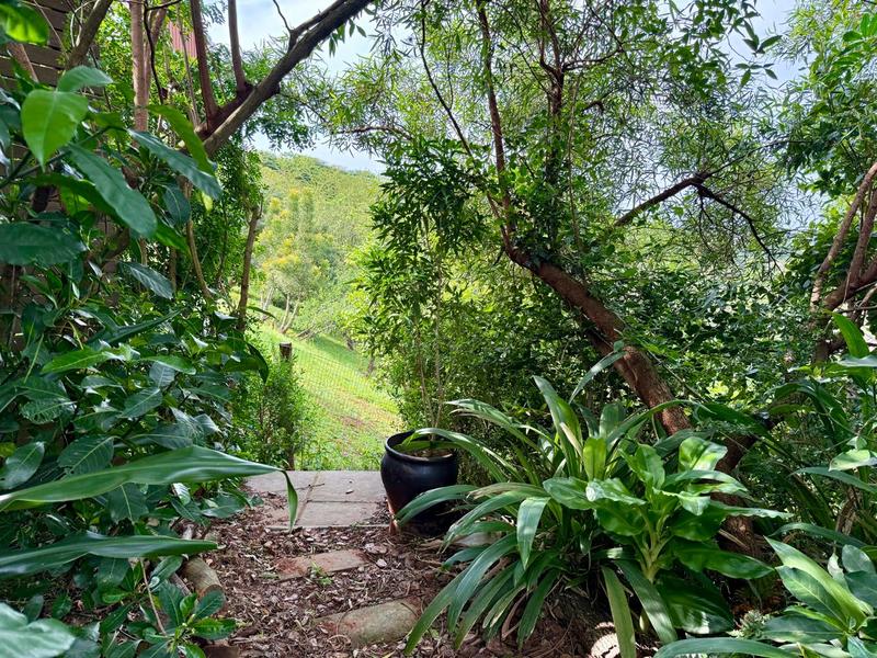 To Let 3 Bedroom Property for Rent in Zini River Estate KwaZulu-Natal