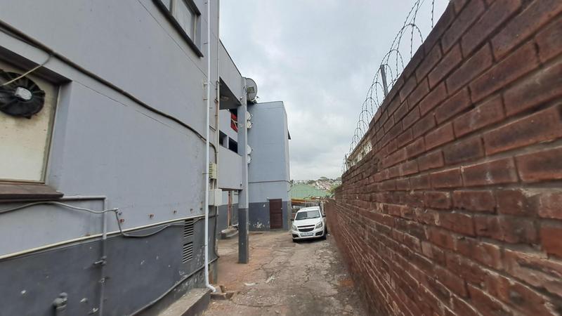 To Let 3 Bedroom Property for Rent in Umbilo KwaZulu-Natal