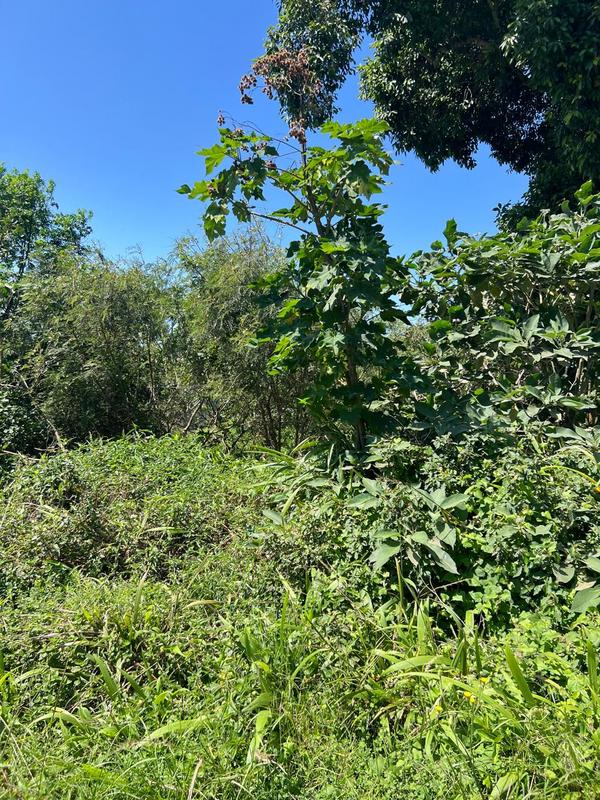 0 Bedroom Property for Sale in Cato Manor KwaZulu-Natal