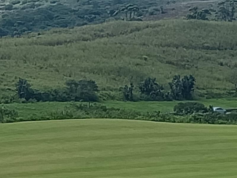 0 Bedroom Property for Sale in Ballito KwaZulu-Natal