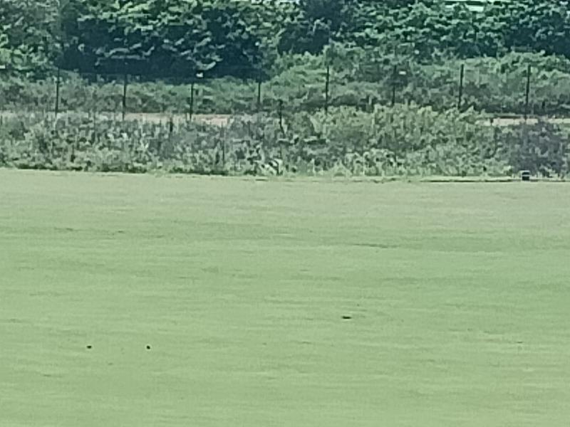 0 Bedroom Property for Sale in Ballito KwaZulu-Natal