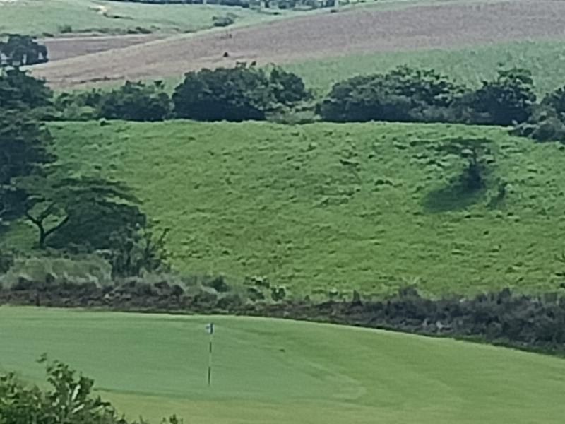 0 Bedroom Property for Sale in Ballito KwaZulu-Natal