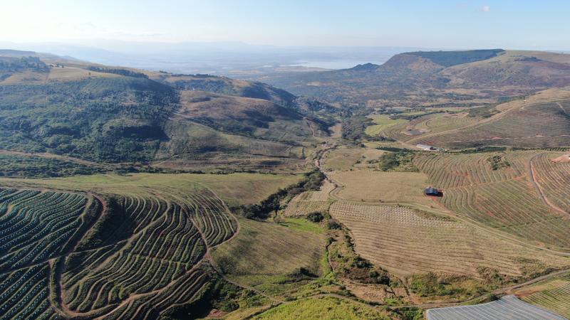 0 Bedroom Property for Sale in Mount Verde KwaZulu-Natal