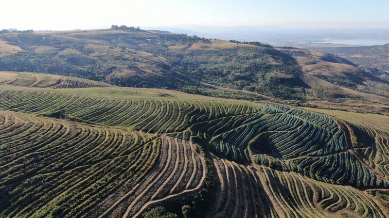 0 Bedroom Property for Sale in Mount Verde KwaZulu-Natal