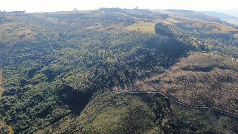 0 Bedroom Property for Sale in Mount Verde KwaZulu-Natal