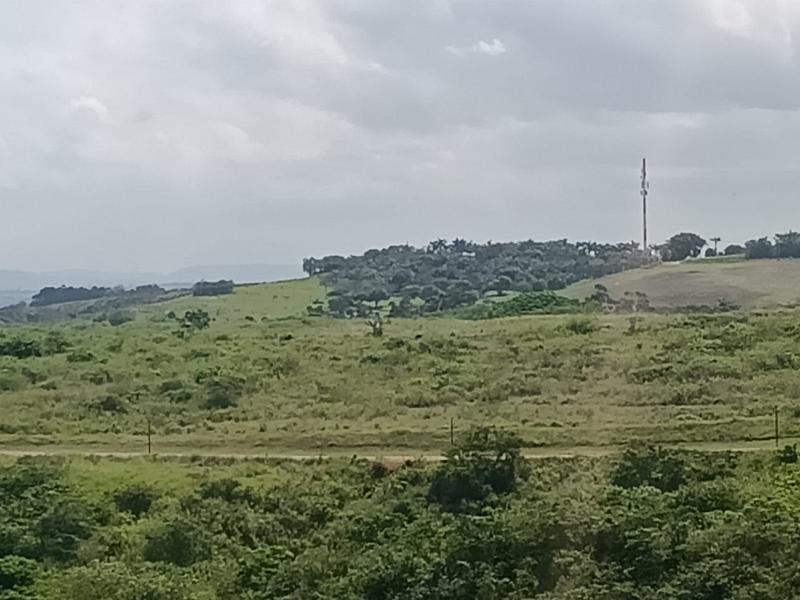 0 Bedroom Property for Sale in Zimbali Lakes Resort KwaZulu-Natal