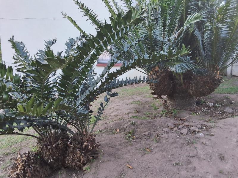 3 Bedroom Property for Sale in Malvern KwaZulu-Natal