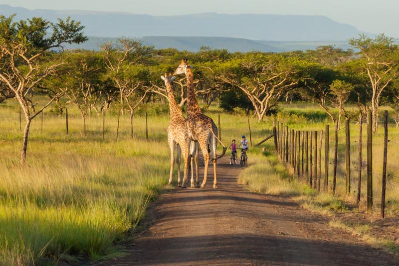 5 Bedroom Property for Sale in Albert Falls KwaZulu-Natal