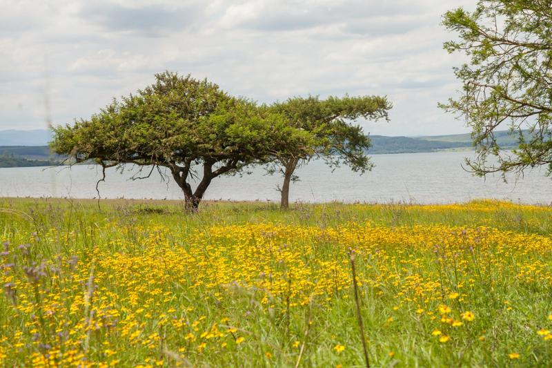 5 Bedroom Property for Sale in Albert Falls KwaZulu-Natal