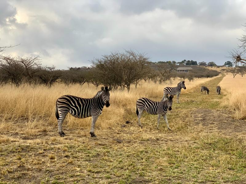 5 Bedroom Property for Sale in Albert Falls KwaZulu-Natal