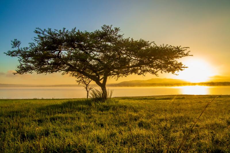 5 Bedroom Property for Sale in Albert Falls KwaZulu-Natal