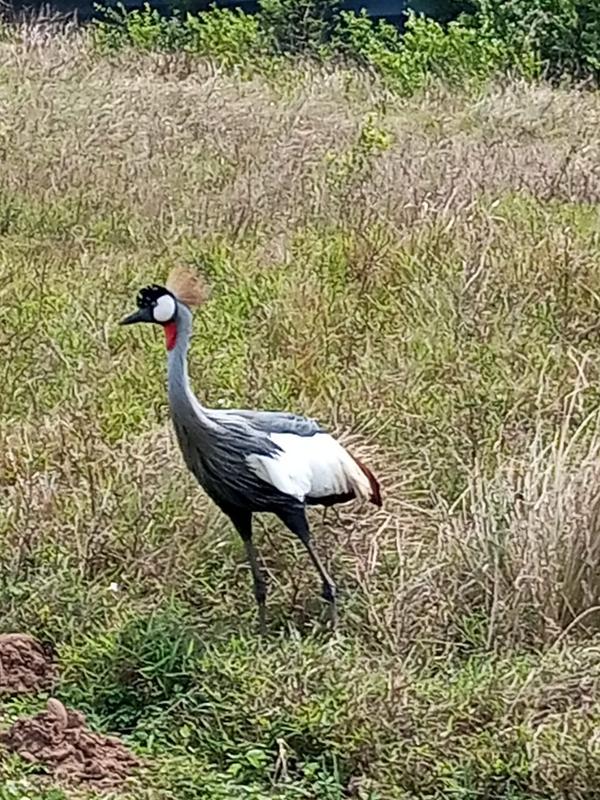 3 Bedroom Property for Sale in Shelly Beach KwaZulu-Natal