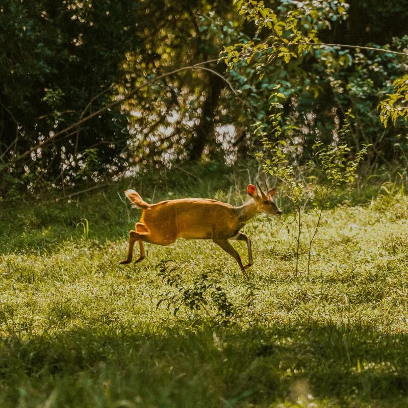 3 Bedroom Property for Sale in Shelly Beach KwaZulu-Natal