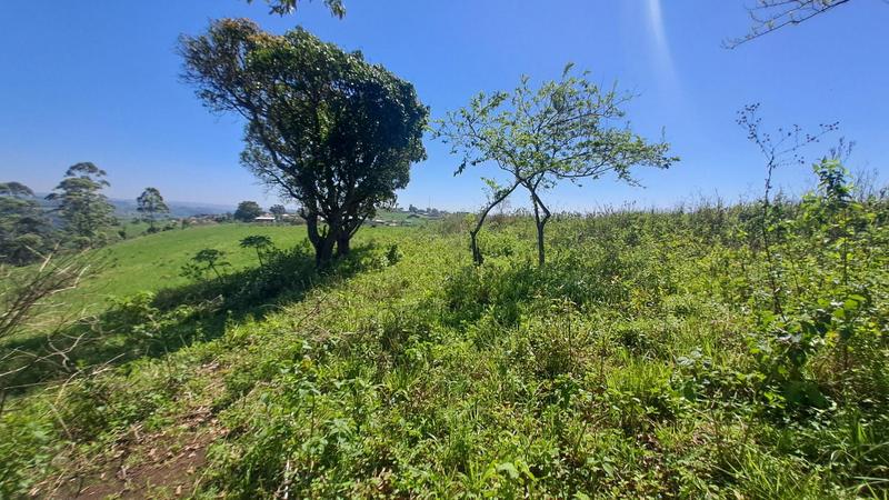 0 Bedroom Property for Sale in Umbumbulu KwaZulu-Natal