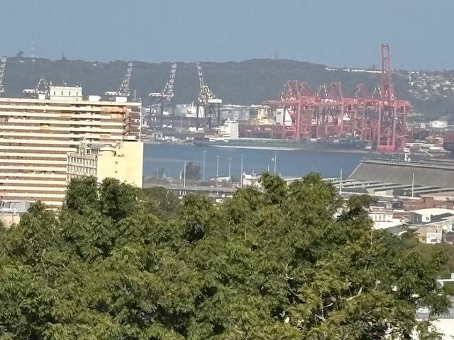 To Let 3 Bedroom Property for Rent in Musgrave KwaZulu-Natal