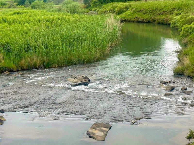 Commercial Property for Sale in Himeville KwaZulu-Natal