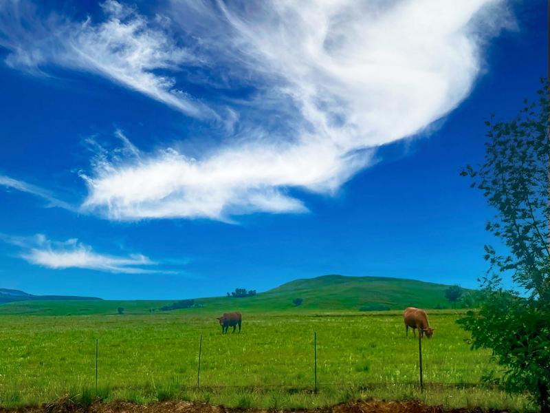 Commercial Property for Sale in Himeville KwaZulu-Natal