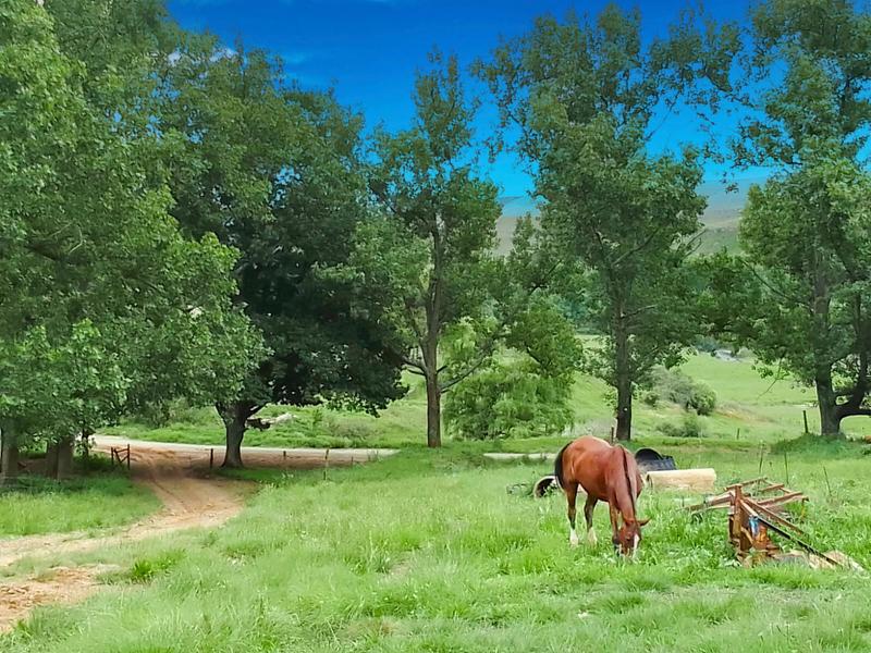 Commercial Property for Sale in Himeville KwaZulu-Natal