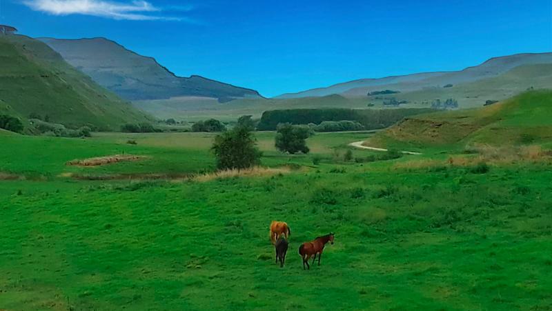 Commercial Property for Sale in Himeville KwaZulu-Natal