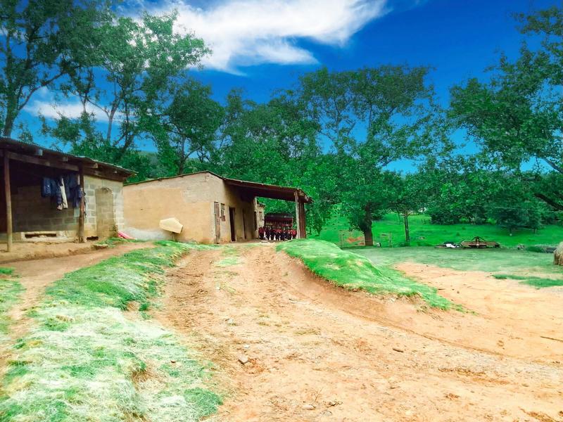 Commercial Property for Sale in Himeville KwaZulu-Natal