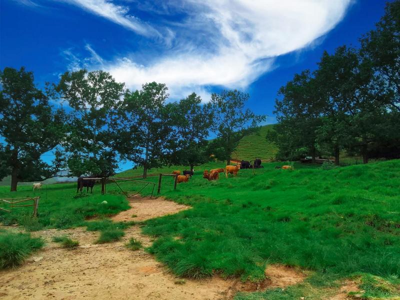 Commercial Property for Sale in Himeville KwaZulu-Natal