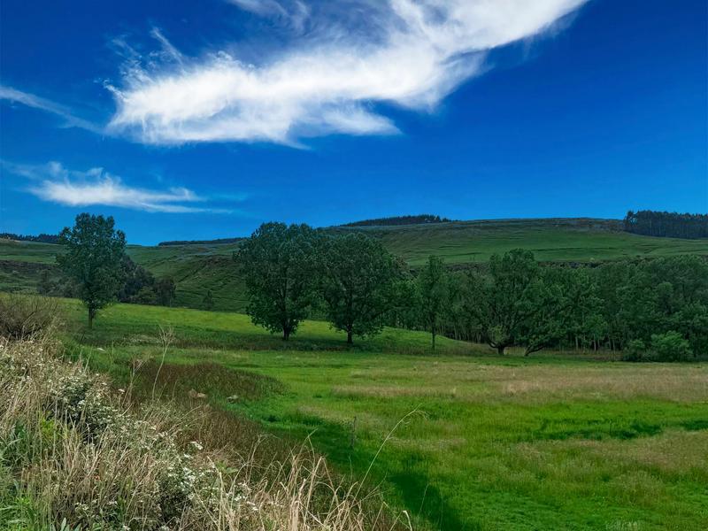 Commercial Property for Sale in Himeville KwaZulu-Natal