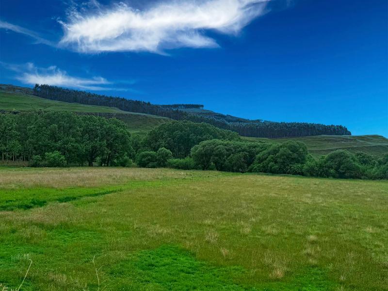 Commercial Property for Sale in Himeville KwaZulu-Natal