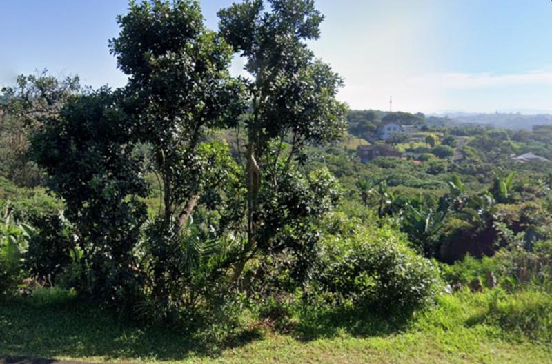 0 Bedroom Property for Sale in Trafalgar KwaZulu-Natal