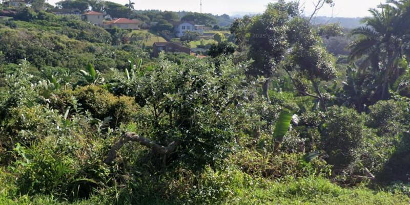 0 Bedroom Property for Sale in Trafalgar KwaZulu-Natal