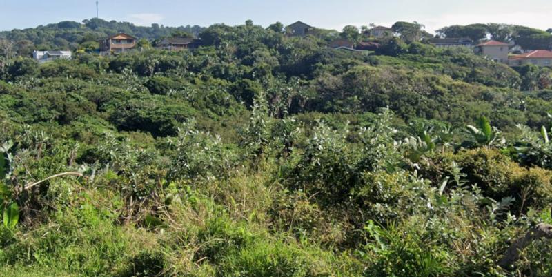 0 Bedroom Property for Sale in Trafalgar KwaZulu-Natal