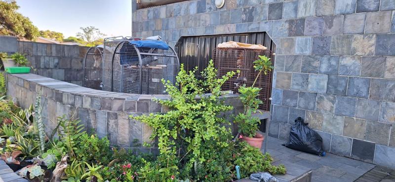 To Let 4 Bedroom Property for Rent in Widenham KwaZulu-Natal