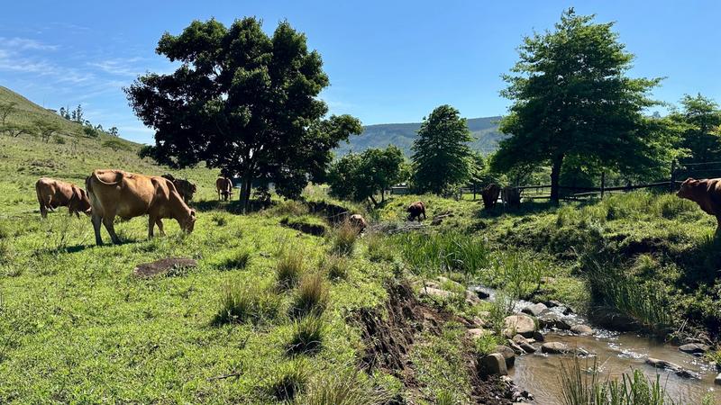 0 Bedroom Property for Sale in Mount Verde KwaZulu-Natal