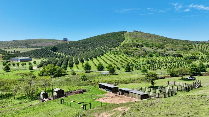 0 Bedroom Property for Sale in Mount Verde KwaZulu-Natal