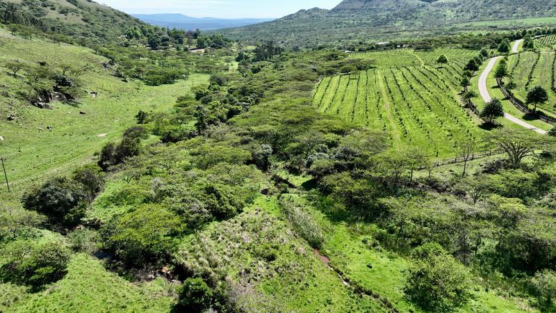 0 Bedroom Property for Sale in Mount Verde KwaZulu-Natal