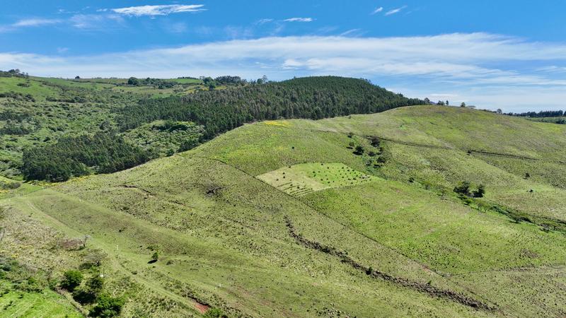 0 Bedroom Property for Sale in Mount Verde KwaZulu-Natal