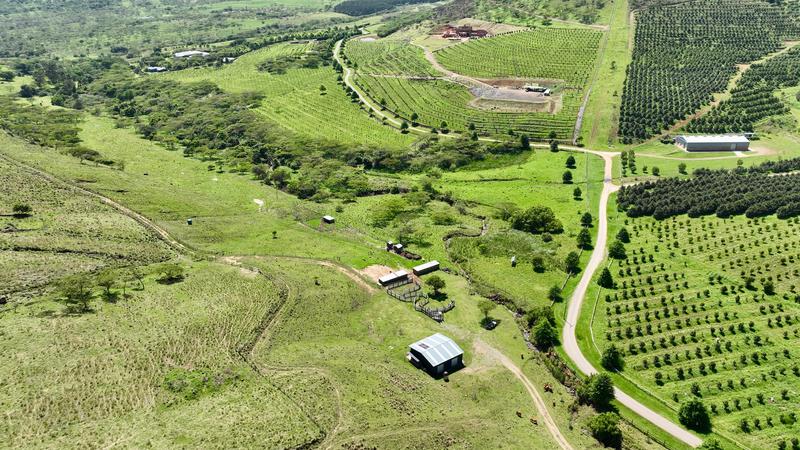 0 Bedroom Property for Sale in Mount Verde KwaZulu-Natal