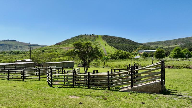 0 Bedroom Property for Sale in Mount Verde KwaZulu-Natal