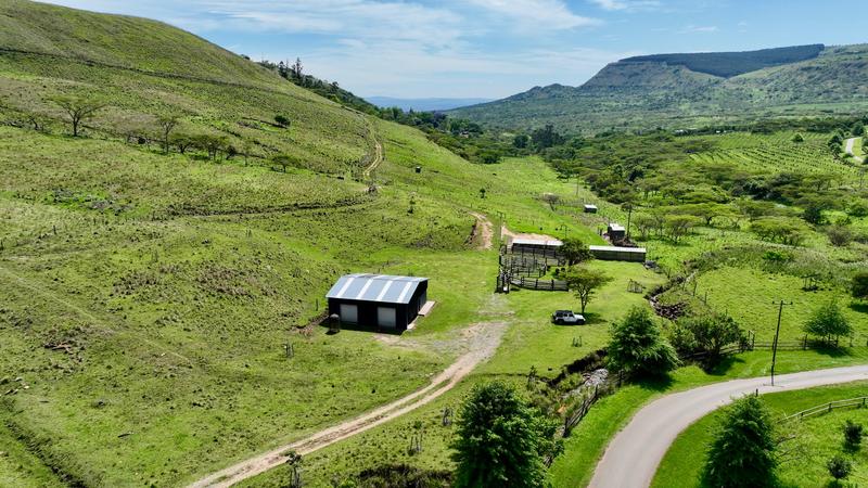 0 Bedroom Property for Sale in Mount Verde KwaZulu-Natal