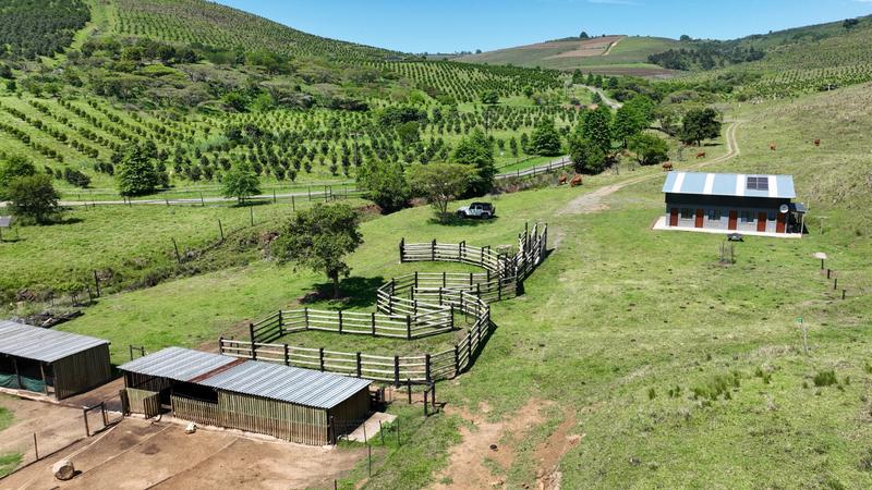 0 Bedroom Property for Sale in Mount Verde KwaZulu-Natal