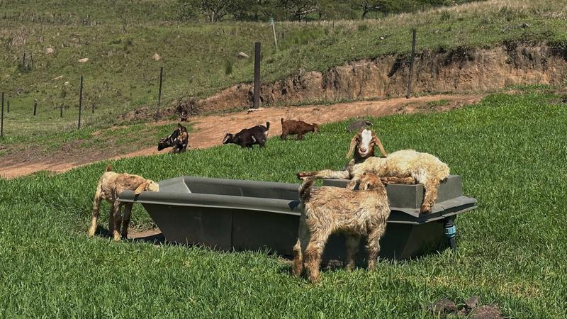 0 Bedroom Property for Sale in Mount Verde KwaZulu-Natal