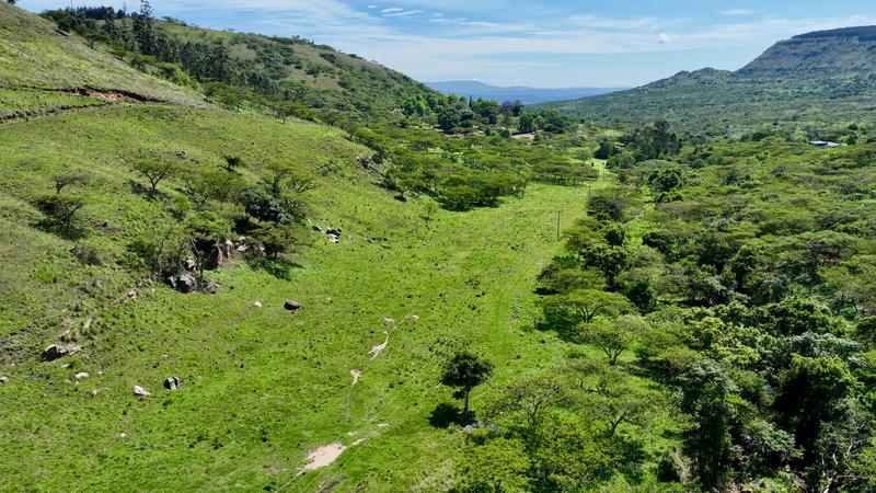 0 Bedroom Property for Sale in Mount Verde KwaZulu-Natal