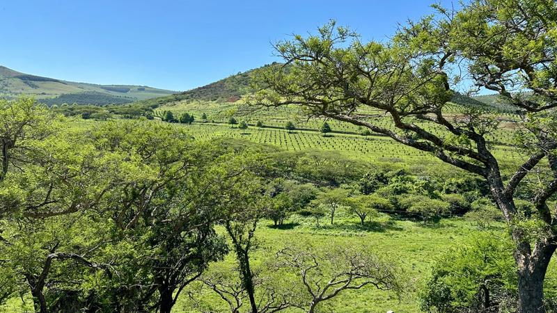 0 Bedroom Property for Sale in Mount Verde KwaZulu-Natal