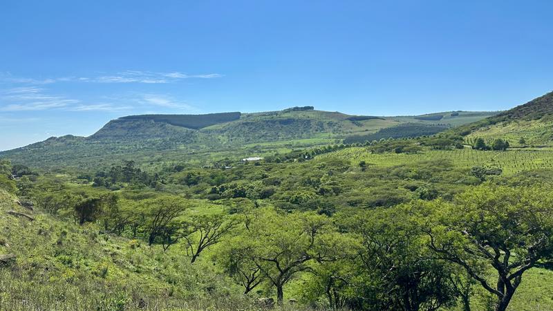 0 Bedroom Property for Sale in Mount Verde KwaZulu-Natal