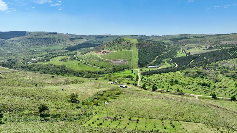 0 Bedroom Property for Sale in Mount Verde KwaZulu-Natal